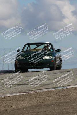 media/Mar-31-2024-Speed Ventures (Sun) [[a3b2bf813d]]/Purple/Session 2 (Grapevine)/